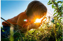 Ein Kind hockt im Sonnenuntergang in einer Wiese und schaut sich mit einer Lupe die Wiese an.