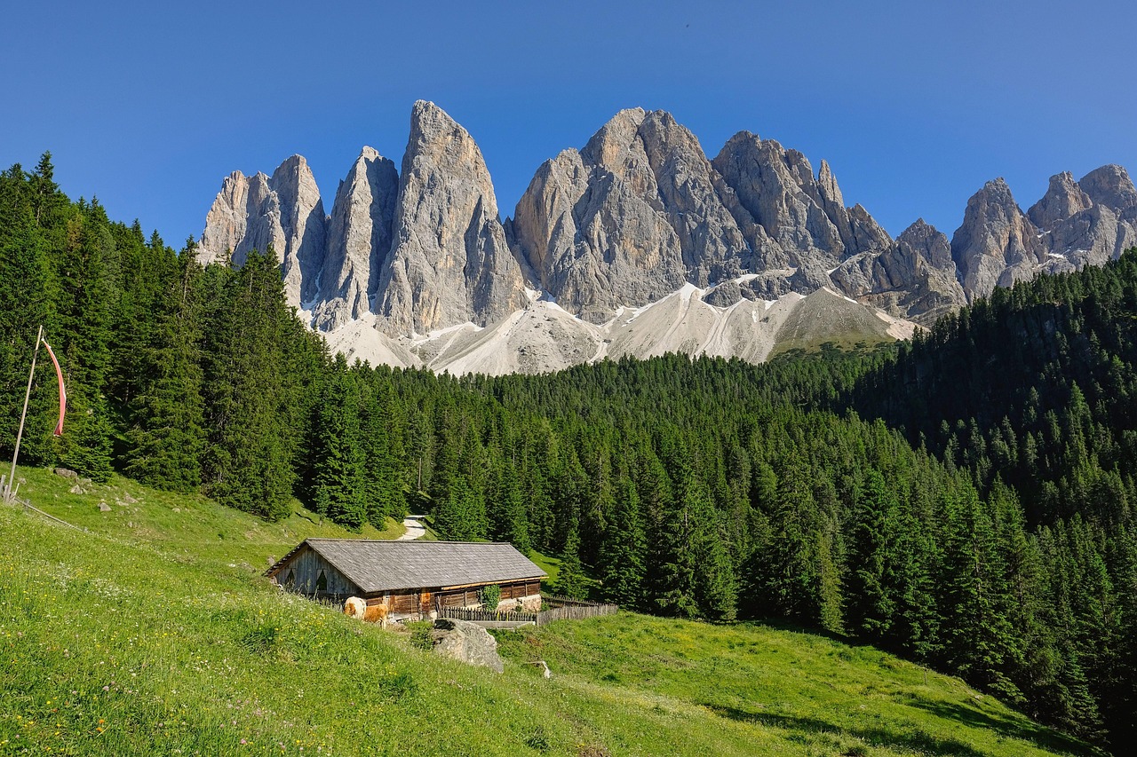 Bergpanorama mit grünen Wiesen, Wald und Berghütte.
