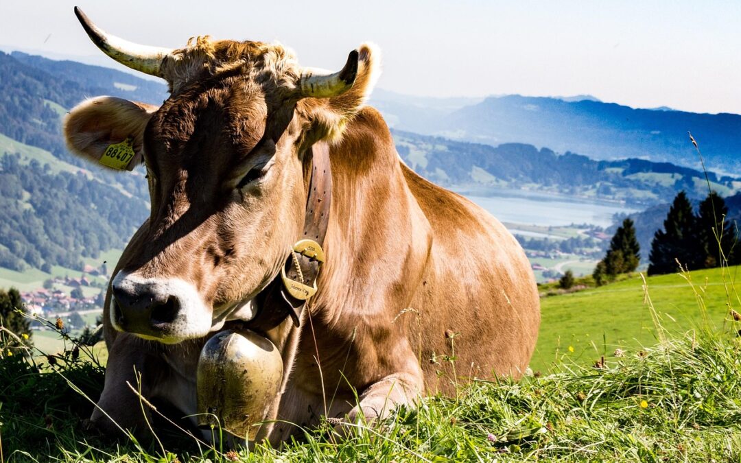 Geschützt: Allgäu 2026