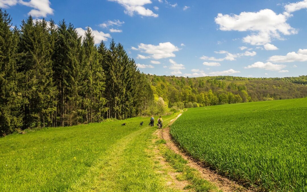 Geschützt: Hilders 2026